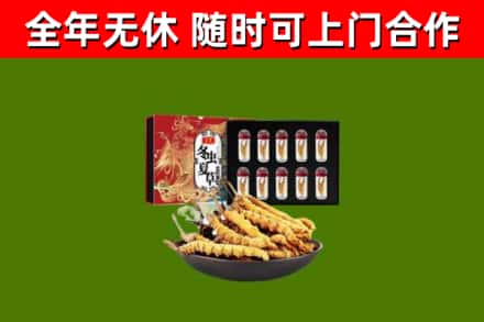 鼎湖烟酒回收冬虫夏草礼盒.jpg
