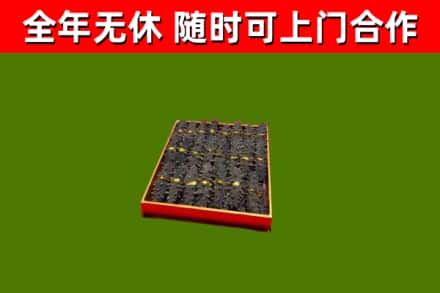 鼎湖回收海参
